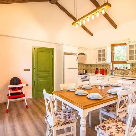 Genis Bahceli 4+1 Tatil Villasi Villa *