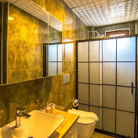 Genis Bahceli 4+1 Tatil Villasi 페티예