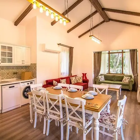 Genis Bahceli 4+1 Tatil Villasi 빌라 페티예